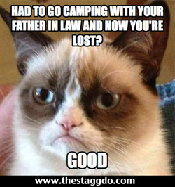 Grumpy Cat Stagg Do meme contest